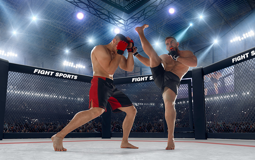 /turniere/nbfc-mma-wettkaempfe-bild-kampf.jpg
